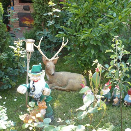 gradina de flori